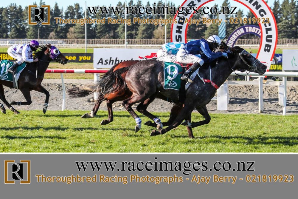 RACE 8 BLINDSPOTT copy