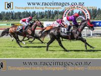 race 8 madam sequoia copy